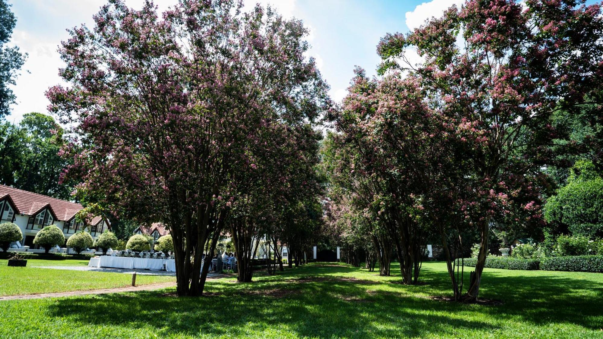 River Meadow Manor Centurion Bagian luar foto